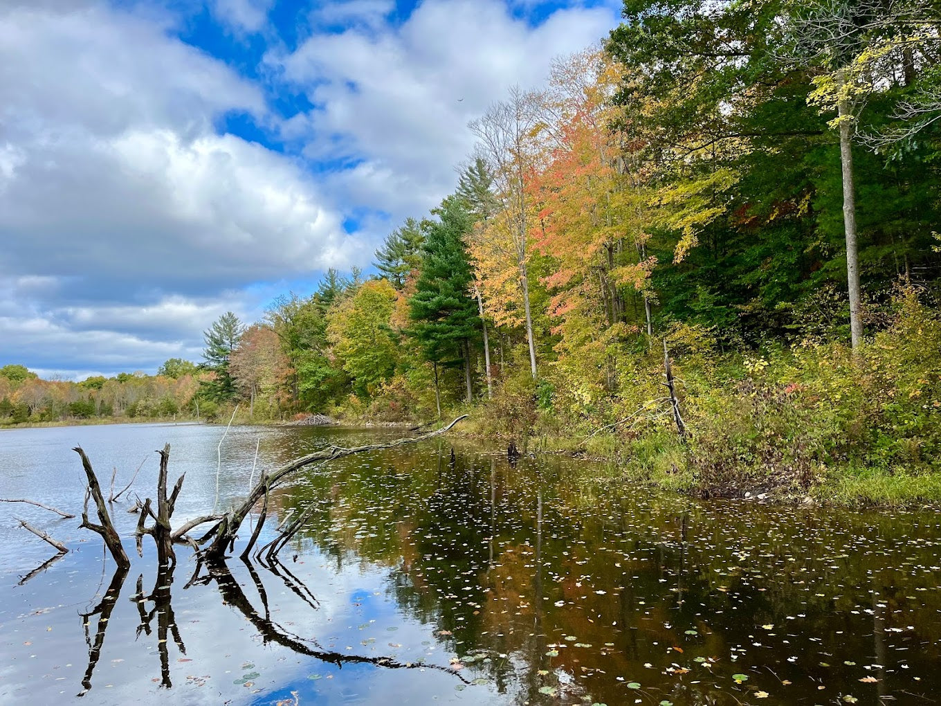 Marble Rock Conservation Area